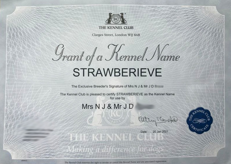 Strawberieve Kennel Club name certificate official dog breeder of dogue de bordeaux